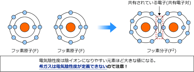 フッ素原子