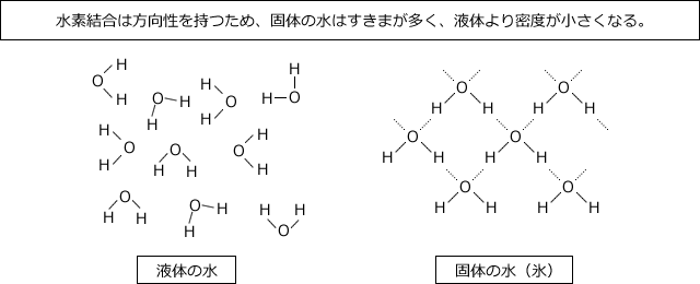 水素結合は方向性を持つため、固体の水はすきまが多く、液体より密度が小さくなる。