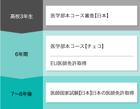 医学部本コース