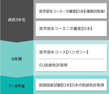 医学部本コース