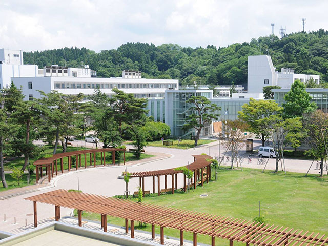 秋田大学