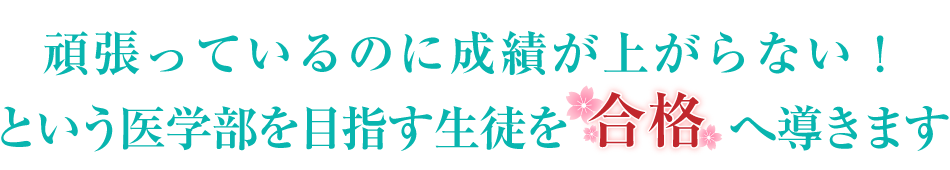 頑張っているのに成績が上がらない！という医学区部を目指す生徒を合格へ導きます