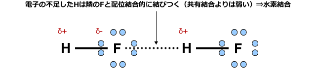 電子の不足したHは隣のFと配位結合的に結びつく（共有結合よりは弱い）⇒水素結合