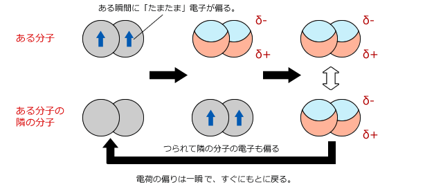 分子間力には引力が働く